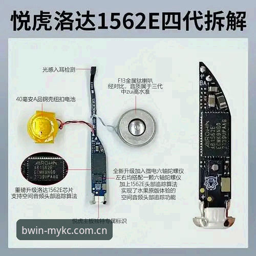 BWIN必赢平台入门全拆解：从下载到数据查询的实战笔记