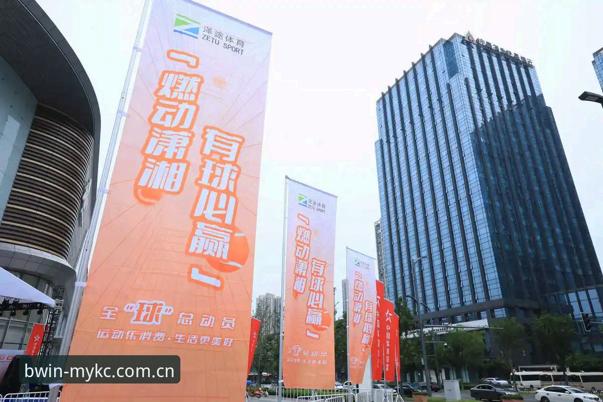 揭秘BWIN必赢登录入口：从数据查询到赛事追踪，一个平台的前世今生